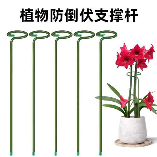 植物支撑杆防倒扶支架