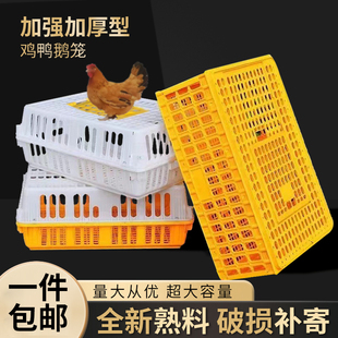 塑料家禽周转箱筐鸡笼运输笼成鸡鸭鹅鸽子笼子家用大号兔笼养殖笼