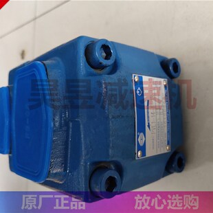 机械润滑泵高压油泵叶片泵 PVL1
