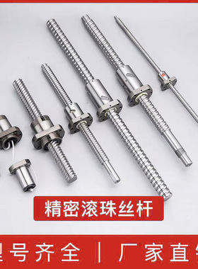 滚珠丝杆螺母SFU SFI SFS  DFU1605 2005 2010 2505 3210 4010