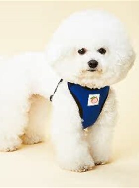 Lazy Pfet韩国Youareapeach宠物外出可爱桃子柔软网状透气胸