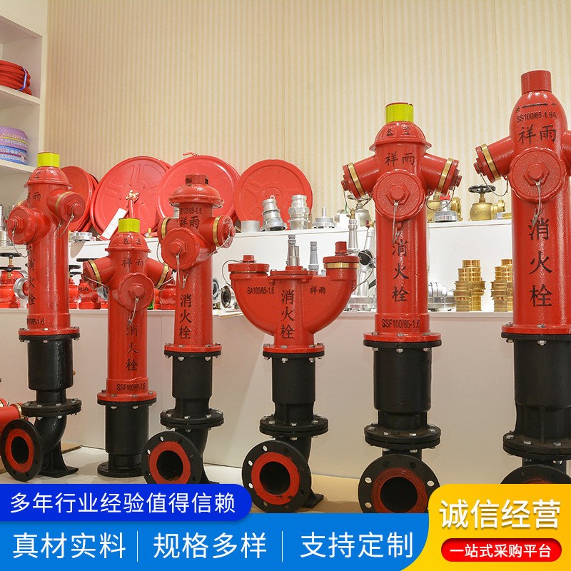祥雨消火栓SS100/150/w65-1.6地上地下室外消火栓水泵接合器
