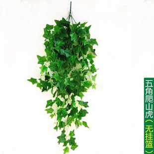 植物假花藤条g塑料绿叶树叶绿萝叶子吊兰壁挂装 饰藤蔓绿植鐊睂