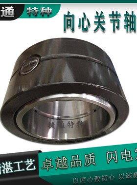 GEP100FS GEjP110FS GEP120FS GEP140FS GEP160FS 关节轴承免维护