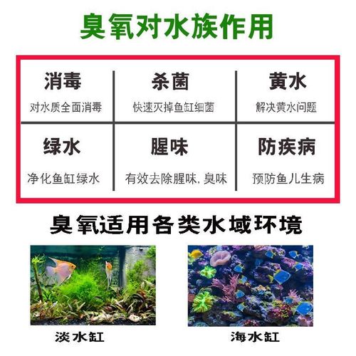 多功能鱼缸消毒杀菌净水果蔬肉z解毒机臭氧发生器污水处理冰箱除