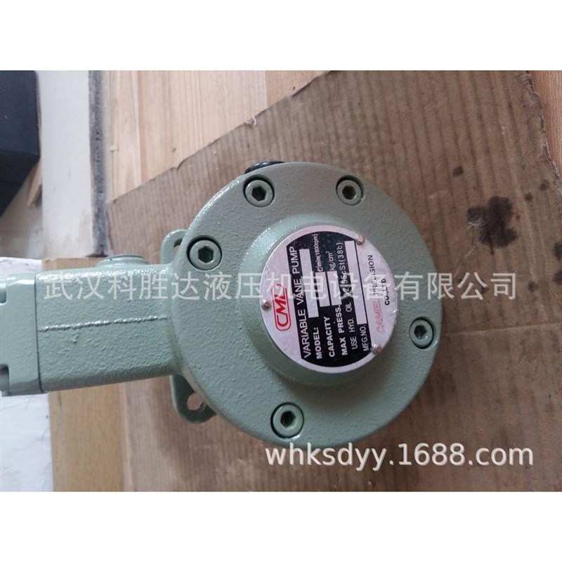 油泵 VCM-SfF-12D/20D/30D/40D/30C/40B/20B/20C/40C-10/20/30