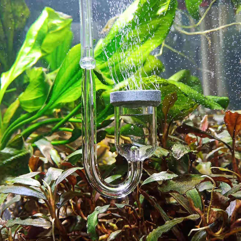 鱼缸二氧化碳发h生器无压版 co2套装 自制DIY二氧化碳钢瓶套装