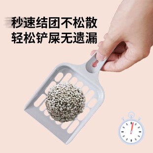 猫砂除臭无尘40斤m装包邮结团不沾底膨润土清香型防臭特价猫沙厕