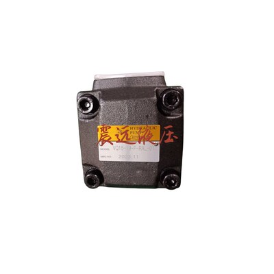 叶片泵Q15-19-F-RAL-o01 8 11 14 17 19 23 25 31 RAA RAB RAL