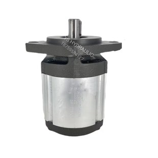 40S 罗茨油泵RONZIO齿轮泵03ZAG 55液压 03ZMG20