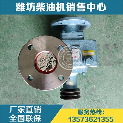 潍坊6170潍柴WHM6160柴油发动机船用C海水泵1006626457离心泵8710