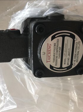 TAICHENG低速新款电机21u5KW卧式液压液压油马达KEZHENGVP20FA3