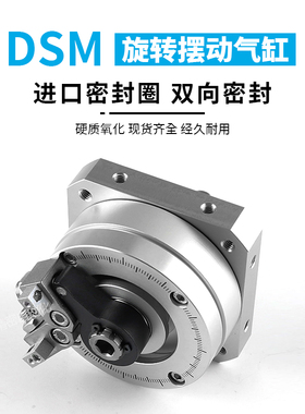 FESTO旋转摆动气缸DSMm/DSR-10-12-16-25-32-40-90-180-270-P-A-B