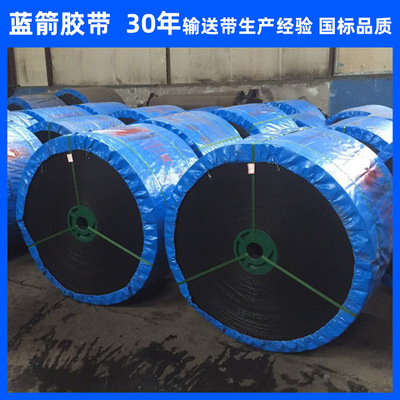 蓝箭火电厂EP300阻燃输送带