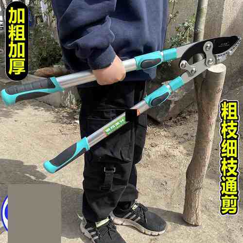 剪树枝专用剪刀修剪粗枝大剪刀果树修枝大力剪强力剪子艺园林工具