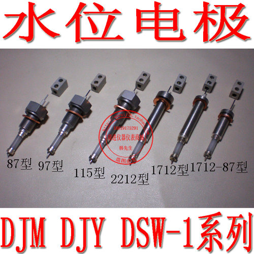 水位电极锅炉液位电极水位计电接点电极 DJY1712-115 压入式