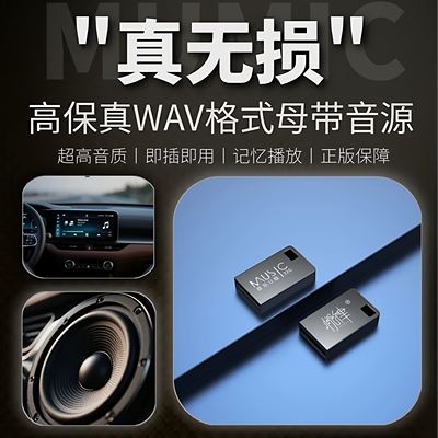 高保真WAV格式U盘母带音源