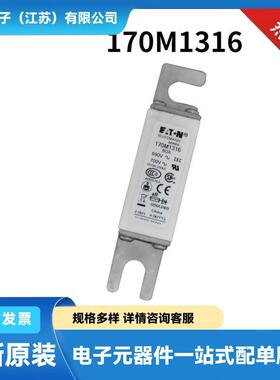原厂巴斯曼高压熔断器170M1316 170M1317 170M1318货源充足