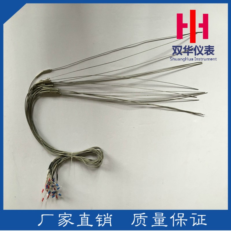 WZPK-191型号带补偿导线热电阻