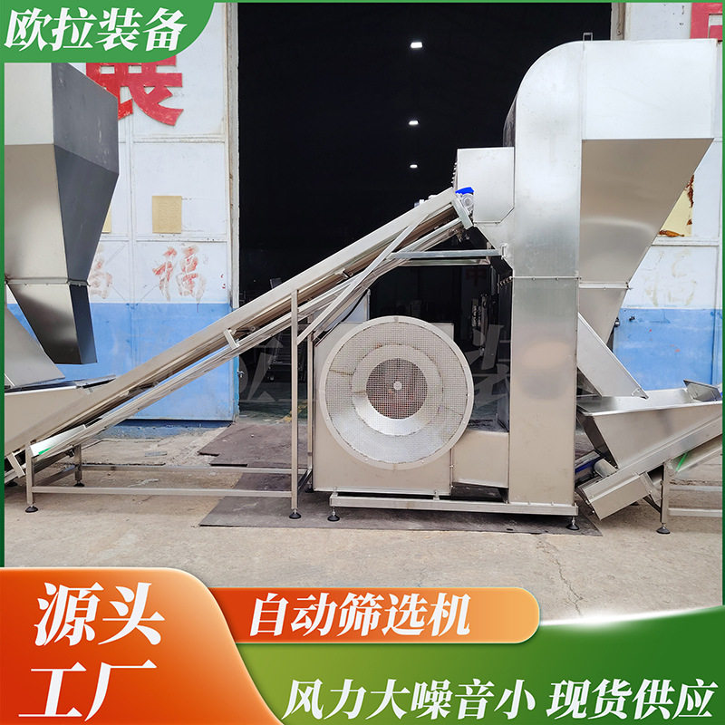 大枣瓜子毛豆流水线风选清洗机