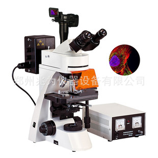 BFM-600数码研究型正置荧光显微镜BFM-600E荧光显微镜BFM-600D