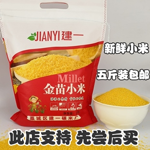 建一金苗小米新鲜黄小米新米月子吃的米宝宝米小黄米新米五谷杂粮