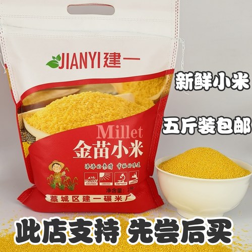 建一金苗小米新鲜黄小米新米月子吃的米宝宝米小黄米新米五谷杂粮