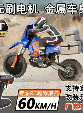 PDracing遥控摩托车RC玩具成人竞速漂移越野无刷RTR车模 BSD540