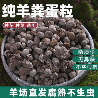 羊粪肥花卉纯鸡粪有机肥料蔬菜用