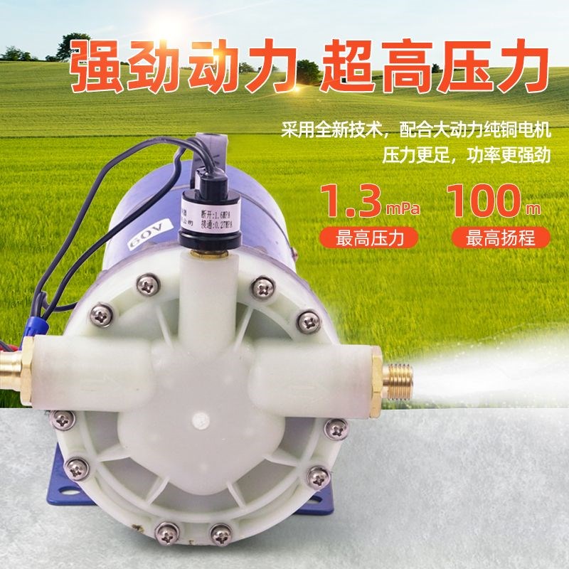 电动喷雾器高压农用12V48V60V打药机5缸N隔膜泵自吸式灌水冲肥泵