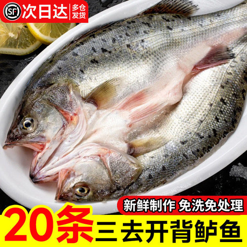 三去开背清蒸海鲈鱼商用批发