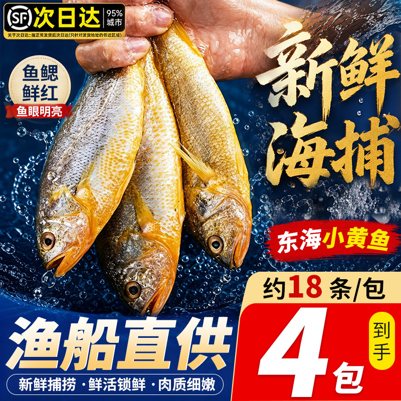 小黄鱼新鲜冷冻海鲜真正海鱼鲜活黄花鱼生鲜冰鲜深海水产商用烧烤