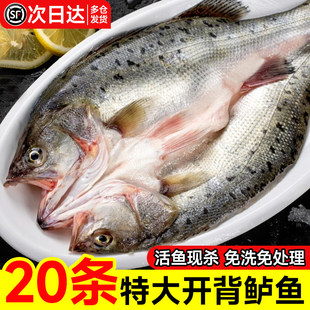 清蒸海鲈鱼深海野生特大新鲜活三去开背白蕉七星海鲈鱼预制菜商用