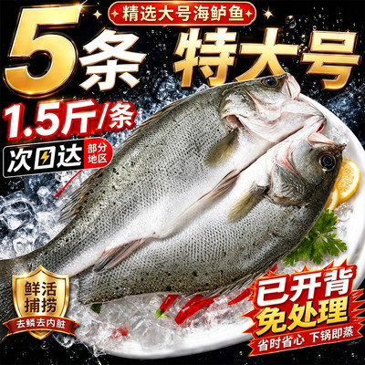 三去开背清蒸海鲈鱼商用批发