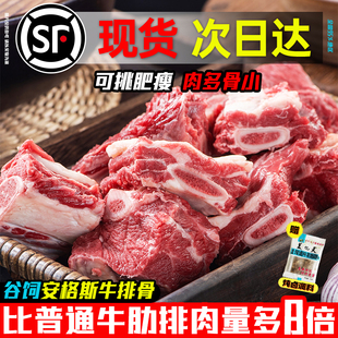 谷饲原切安格斯牛排骨新鲜带肉牛肋排肋条仔骨黄牛肉商用进口肋骨