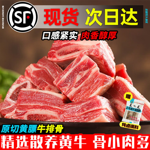 草原黄膘牛排骨新鲜带肉牛肋排牛肋条仔骨草饲散养黄牛肉商用