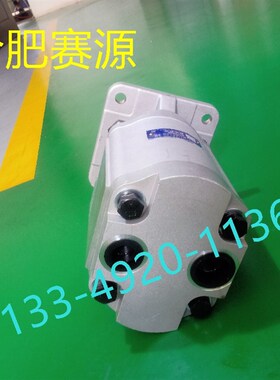 HeFei SaiYuan合肥赛源 CBGZy2080-BLP 液压齿轮油泵CBGZ2080-BLH