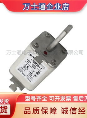 170M3408/3409/3410 /3411/3412/3413/3414/3415全新熔断器现货
