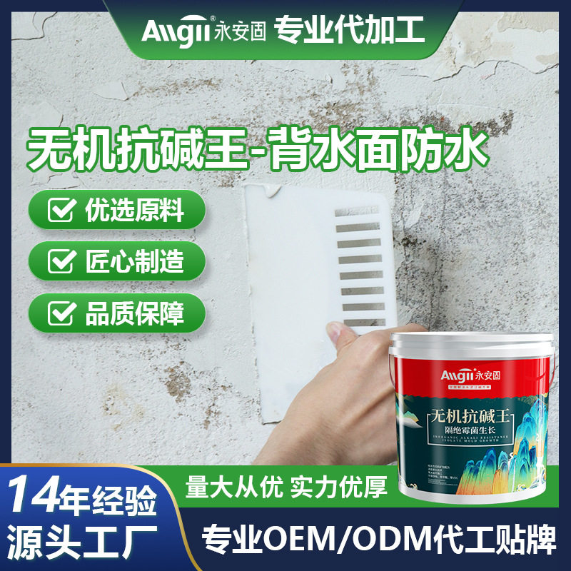 除碱剂墙面反碱处理泛碱克星防碱起碱内墙封闭消碱抗碱填缝剂王