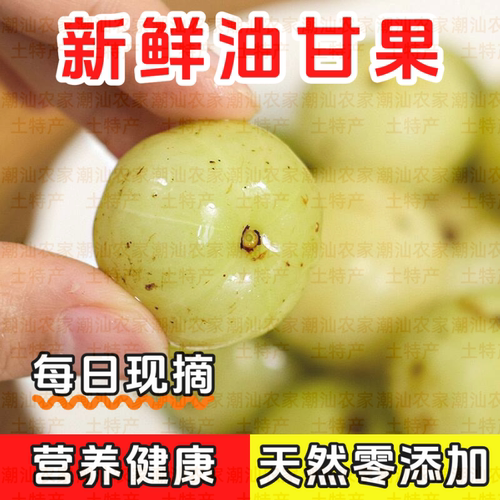 油甘果新鲜油甘果生吃酸涩回甘油柑果滇橄榄余甘子榨汁泡酒油柑果