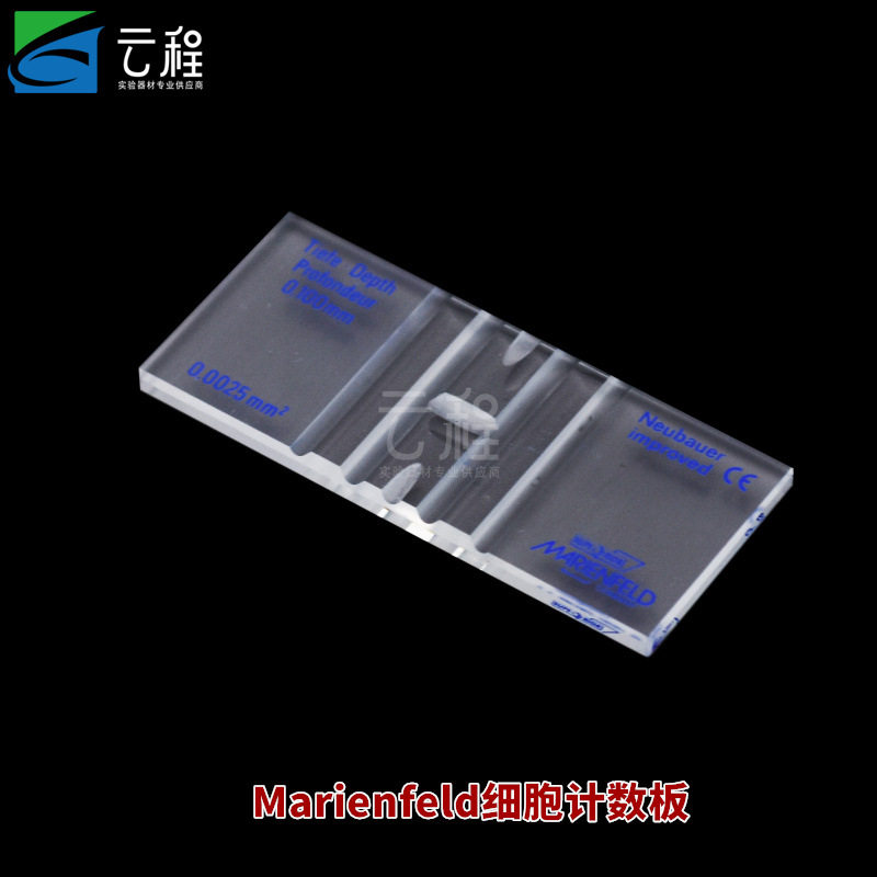 Marienfeld一次性细胞计数板血细胞球计数板计算盘亮线暗线血盖片