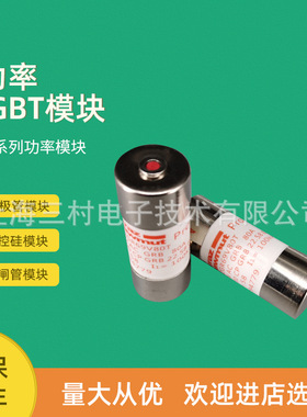 全新熔断器保险丝FR14GR69V10T/H1017182 FR14GR69V12T/J1017183