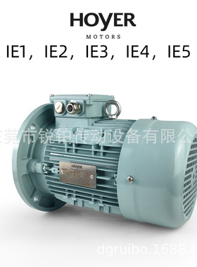 HOYER霍尔电机HMA2 HMC2铝壳铸铁电动机MS Y2E2 HMA3 HMC3船用