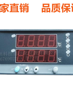 WP-D803-02-23-HL-P / WP-D803-01-23-HL-P双屏显示仪温控仪器