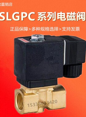 盛隆SLGPC宝德电磁阀6213-04 /06/08/02/03水阀气阀AC220V DC24V