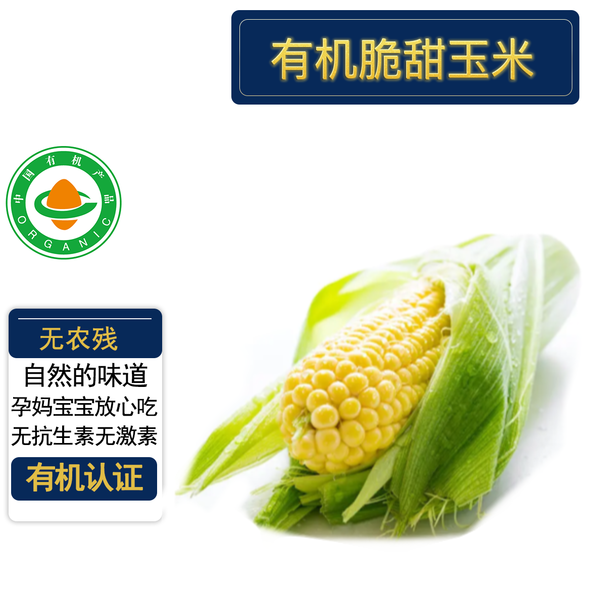 有机脆甜玉米2.8斤8根