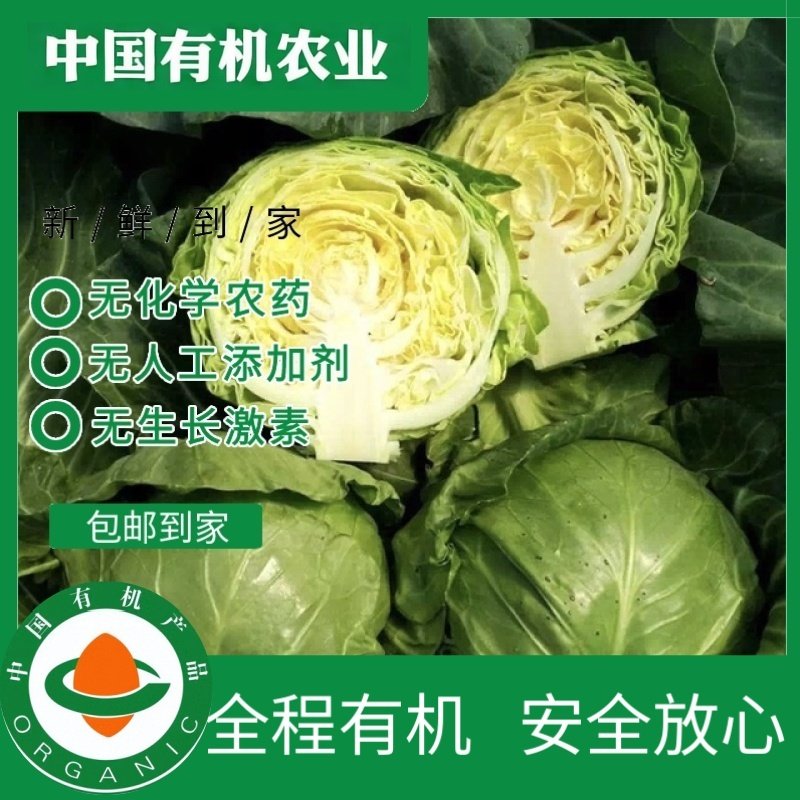 有机绿甘蓝5斤新鲜蔬菜有机认证美味健康辅食沙拉,水产肉类/新鲜蔬果/熟食,叶菜类,淘宝优惠券,粉丝福利购,淘宝优惠卷
