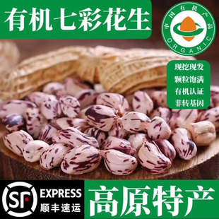 精品云南高原有机七彩花生400g 有机认证无农残 带壳现挖晾晒顺丰