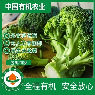 有机西兰花有机认证无农残