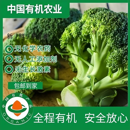 有机西兰花3/5斤有机认证无农残
